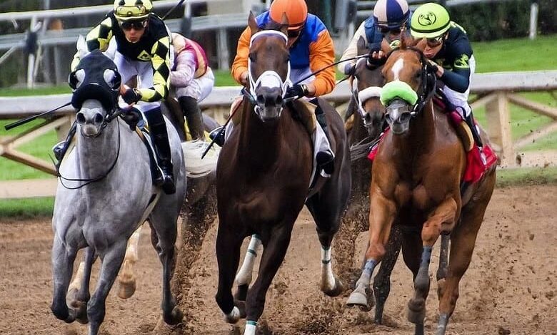 Belmont Stakes Betting Trends