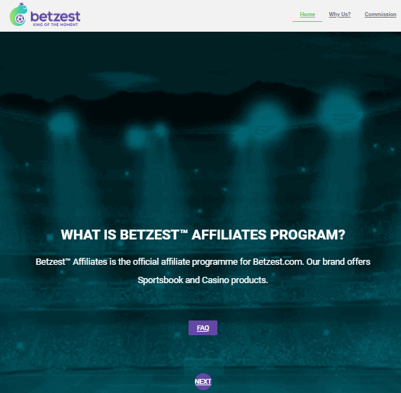 Betzest Affiliate Program