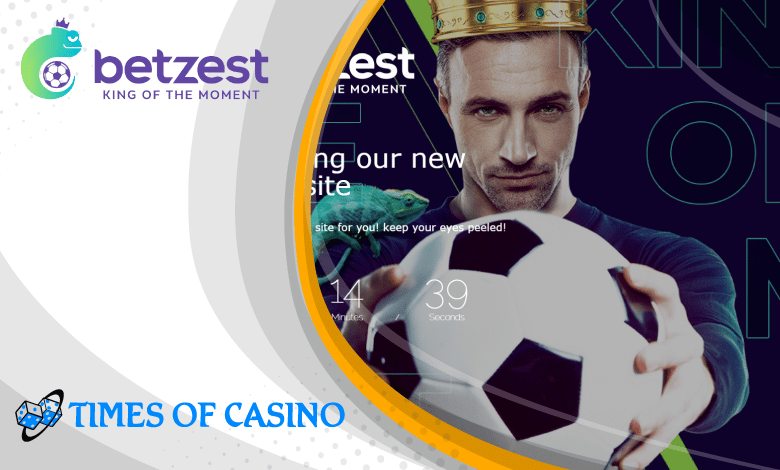 Betzest Casino Review