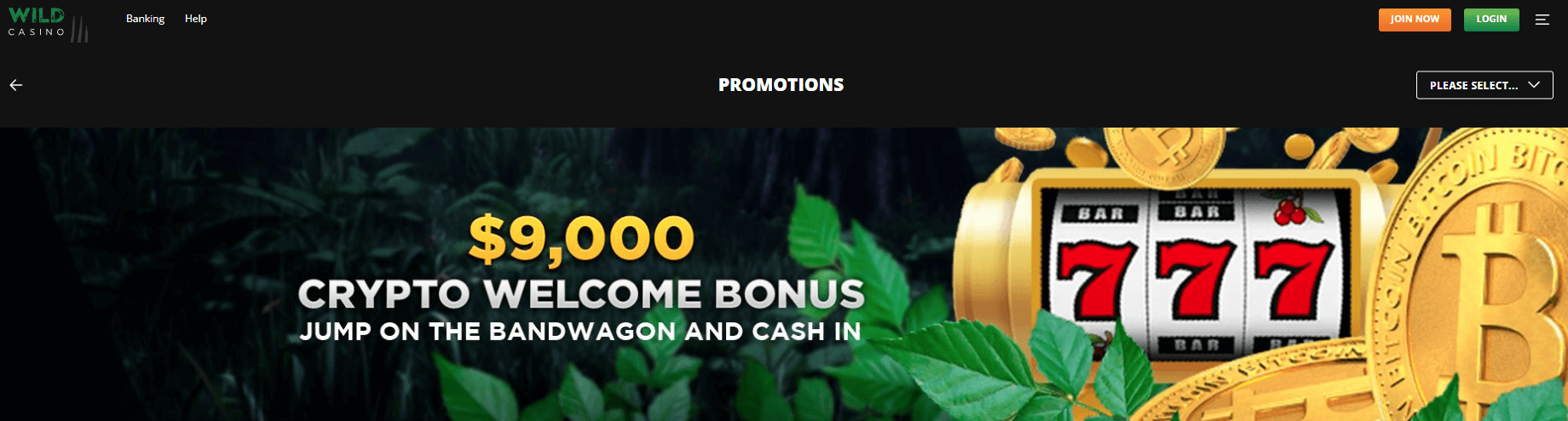 Wild Casino Crypto Welcome Bonus