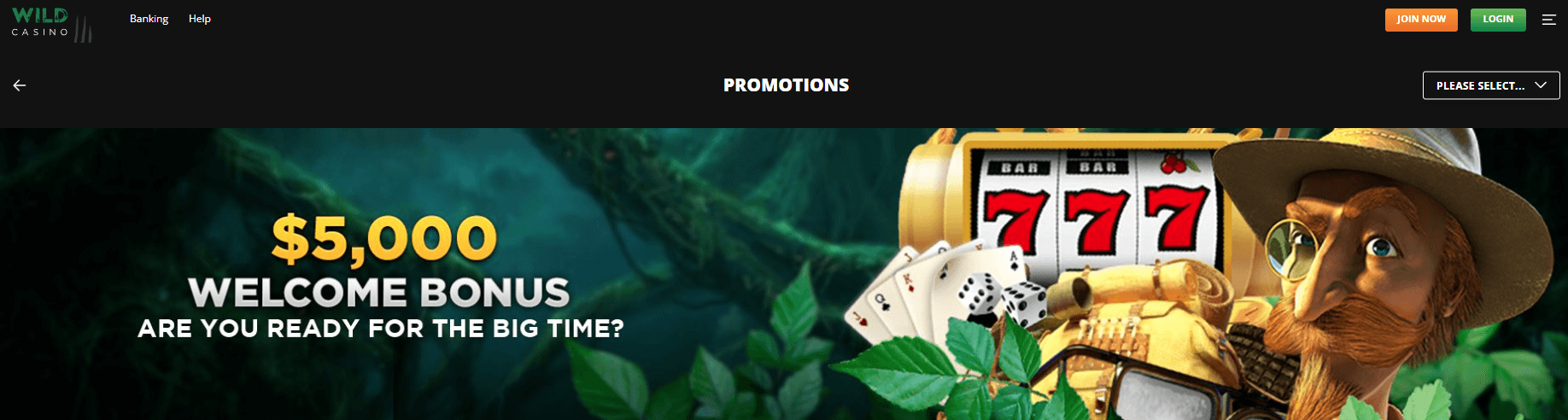 Wild Casino Welcome Bonus