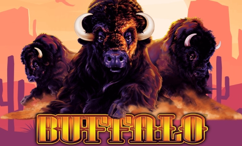 BetMGM introduces Buffalo slots game in New Jersey