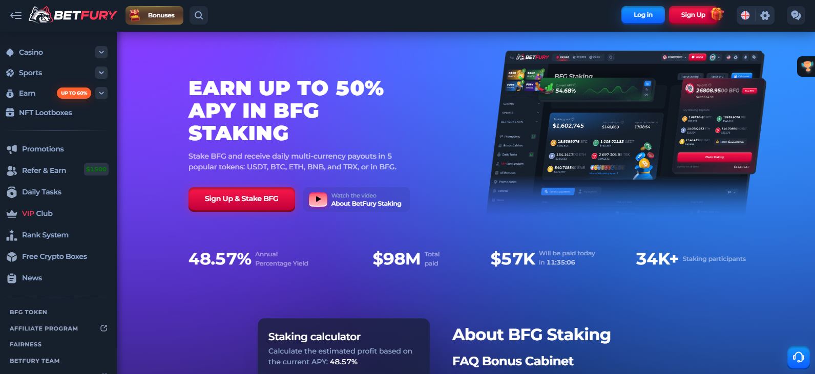 betfury-staking-bfg-token-details