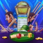 How to Bet on Cricket Online