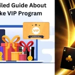 Stake VIP Program