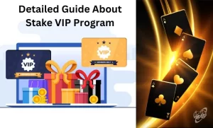 Stake VIP Program