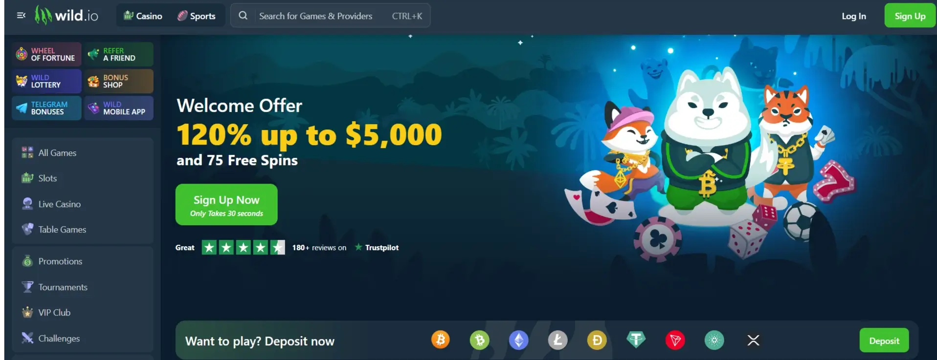 Wild.io Casino 